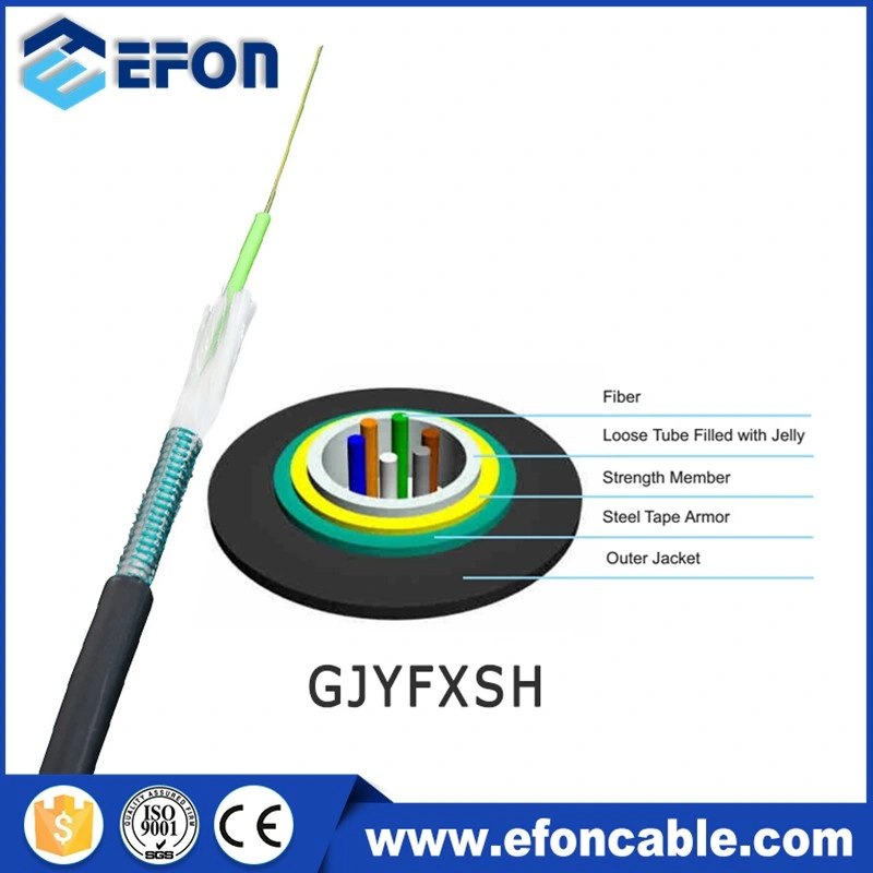 Indoor Outdoor Armored FRP Glass Yarn Strength Member Uni-Tube Fiber Optical Cable Efon New Products